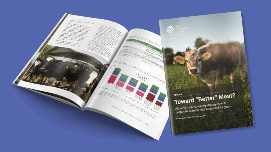 Preview of Better Meat report