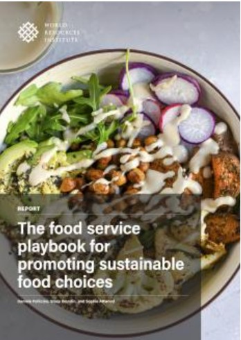 Plant based dish with the Food service playbook title over the top.